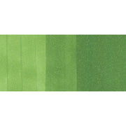Copic Ink YG17 - Grass Green 12ml