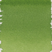 Talens Pantone Refill 30ml 368