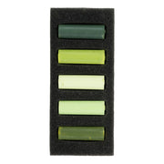 Rembrandt Pastel Lush Greens 5 piece set
