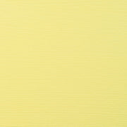 Amsterdam 500ml - 217 - Perm. Yellow Light