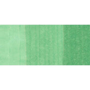 Copic Ink BG34 - Horizon Green 12ml