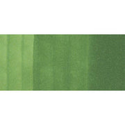 Copic Ink YG67 - Moss 12ml