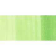 Copic Ink YG05 - Salad 12ml